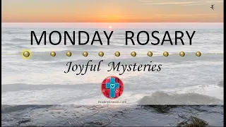 Monday Rosary • Joyful Mysteries of the Rosary 💙 March 25, 2024 VIRTUAL ROSARY - MEDITATION