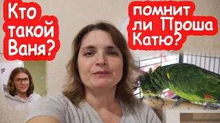 VLOG Кто такой Ваня. Парень Насти или нет. Встреча Кати и Проши