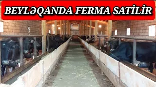 FERMA SATİLİR QİYMƏTİ 165.000 MANAT BEYLƏQANDA BİR HEKDAR ƏRAZİNİN İÇİNDƏ KUPÇALI TEL:051 792.83 28