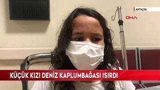 Küçük kızı deniz kaplumbağası ısırdı