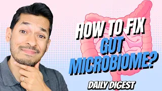 How To Fix Gut Microbiome After Antibiotics?