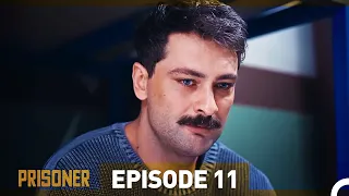 Prisoner Episode 11