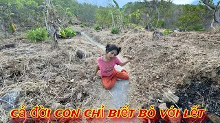 " bò lết suốt 20 năm "Cũng là 1 kiếp người sao đời con BẤT HẠNH quá..! /217