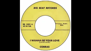 Cobras - I Wanna Be Your Love