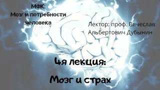 4я лекция Мозг и страх Вячеслав Дубынин