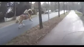 Scooterdriver helps woman catch her runaway horse