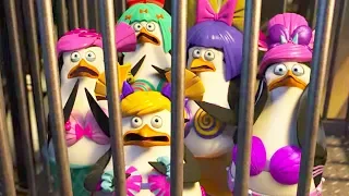 DreamWorks Madagascar | Dave's Plan to Turn All Penguins Ugly | Penguins of Madagascar | Kids Movies