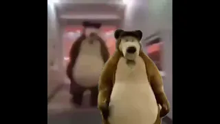 bear chasing bear down hall