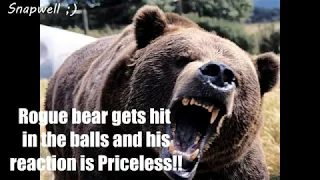 Instant Karma, Bear gets hit in balls and his reaction in priceless!