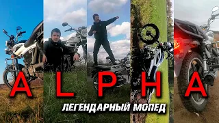 ALPHA RX / ТЕСТ - ДРАЙВ