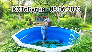 КОТоМучения, КОТоРабота, КОТоМечты и КОТоПосиделки... Пермь ждёт нас или..? - 8 июня 2023 г.