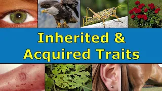 Inherited & Acquired Traits