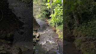 Small river flow