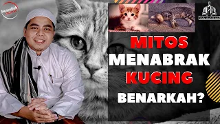 MITOS! mendapatkan bala/musibah karena menabrak kucing, benarkah? (lora Nasrullah Kholli)