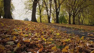 Зинаида Миркина .  На свете есть иное знанье