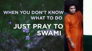 When You Don't Know What To Do, Just Pray to Sri Sathya Sai