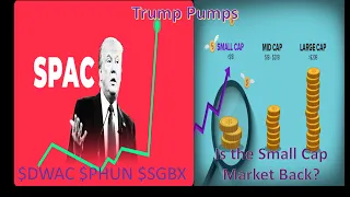 Trump Pumps  & Are Small Caps Back $DWAC $PHUN $SGBX $GROM $MARK