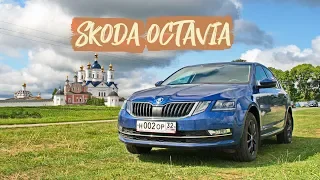 Кантри тест-драйв Skoda Octavia 2019 г.в.