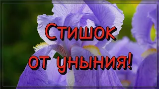 Стишок от уныния... (стихи немного изменены неизвестным автором) 💯 Потрясающие стихи.