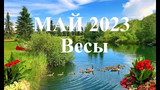 ВЕСЫ.  МАЙ  2023. ТАРО ПРОГНОЗ.  Татьяна Шаманова