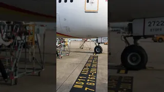 How to open Boeing B787-8 cargo door