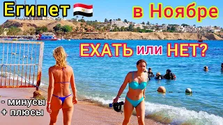 Египет в НОЯБРЕ 🇪🇬 Цены на туры НИЖЕ НЕКУДА❗️ Стоит ли ЛЕТЕТЬ на ОТДЫХ? Все ПЛЮСЫ и МИНУСЫ
