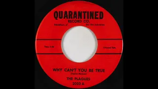 The Plagues - Why Can't You Be True