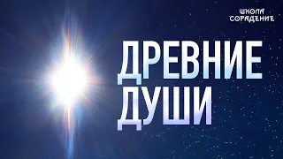 Древние Души  #древниедуши #Весталия #школаCорадение