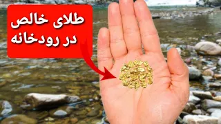 چطور در رودخانه طلا استخراج کنیم (در ایران)  پیدا کردن طلا فقط با وسایل خانگی