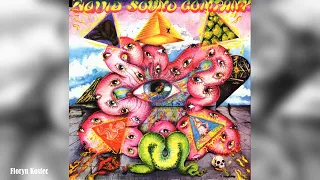 Liquid Sound Company - Exploring The Psychedelic (1996)