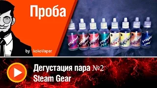 Дегустация пара №2! SteamGear Russian Edition