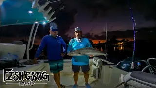 Florida Keys/ Bay Fishing | Catching COBIA | Triple Hookup on MONSTER COBIAS Almost Snaps The Rod!