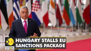 EU unity crumbling on Russian sanctions | Hungary delays oil ban over Putin's patriarch | WION