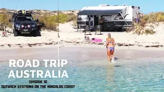 BEACH CAMPS ON THE NINGALOO COAST ARE INSANE | ROADTRIP AUSTRALIA EP.10 |