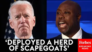 ‘No Shortage Of Finger Pointing’: Tim Scott Lambasts Dems For Blaming Inflation On Junk Fees