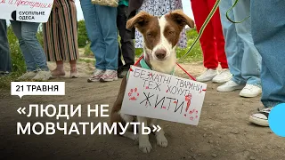 Стріляють, бʼють, проколюють вилами: на Одещині мітингували проти жорстокого поводження з тваринами