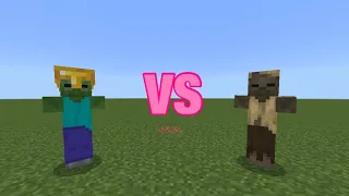 MINECRAFT ZOMBIE VS HUSK