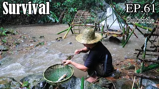 Survival Skills: Rainforest Alone Survival Challenge |EP.61- Weaving basket, rain forest