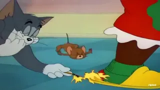 Tom and Jerry | Drunk Tom