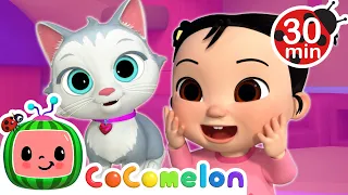 Cece's Cute Princess Kitty Song! | Stories For Girls | CoComelon Kids songs & Nursery Rhymes