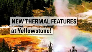 Yellowstone Volcano Update — July 2023 — NEW THERMAL FEATURES at Yellowstone!