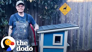 Guy Builds A Tiny House For A Stray Cat In His Yard | The Dodo