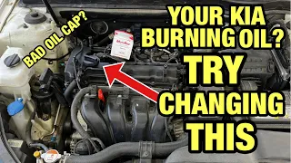 HOW TO CHANGE THE OIL CAP ON YOUR KIA OPTIMA | IF YOUR CAR BURNS OIL CHANGE THE OIL CAP #kia
