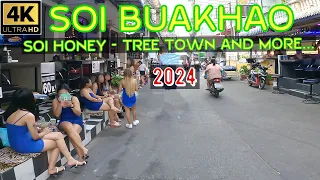 Soi Buakhao Soi Honey-Tree Town-Soi Made in Thailand-Soi New Plaza-Pattaya Klang - 2024 Thailand