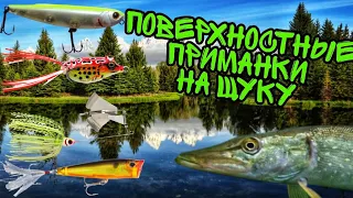 На что ловить щуку на мелководье? Лучшие приманки-топвотеры