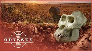 Does This Field Hide A Lost Neolithic Religious Site? | Time Team | Odyssey