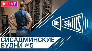 🤷‍♂‍ Будни сисадмина #5 | IT-Skills Chat #itskills #сисадмин