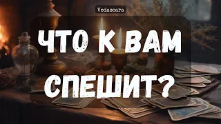 🎀 БЕЗПОВОРОТНО! ЧТО/КТО К ВАМ СПЕШИТ? ✨ Гадание на таро онлайн 🔮 Vedascara