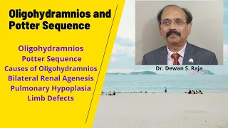 Oligohydramnios and Potter Sequence