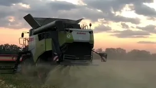 Прибирання Врожаю Новим Комбайном CLAAS TRION 650 і Жаткою CLAAS VARIO 770